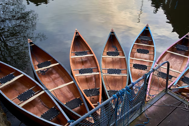 The History of Rowing